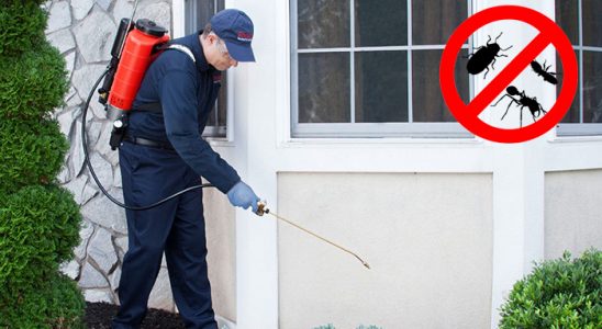 Doğankent Haşere İlaçlama böcek ilaçlama ve haşere kontrolü — ilaclama-tr.com